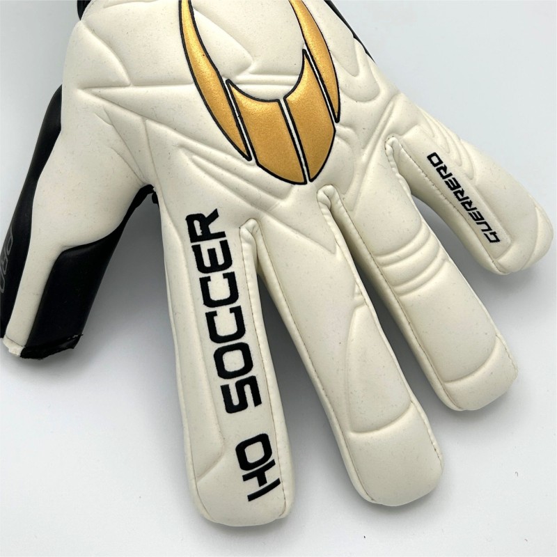 Guerrero Pro NG Golgen Team