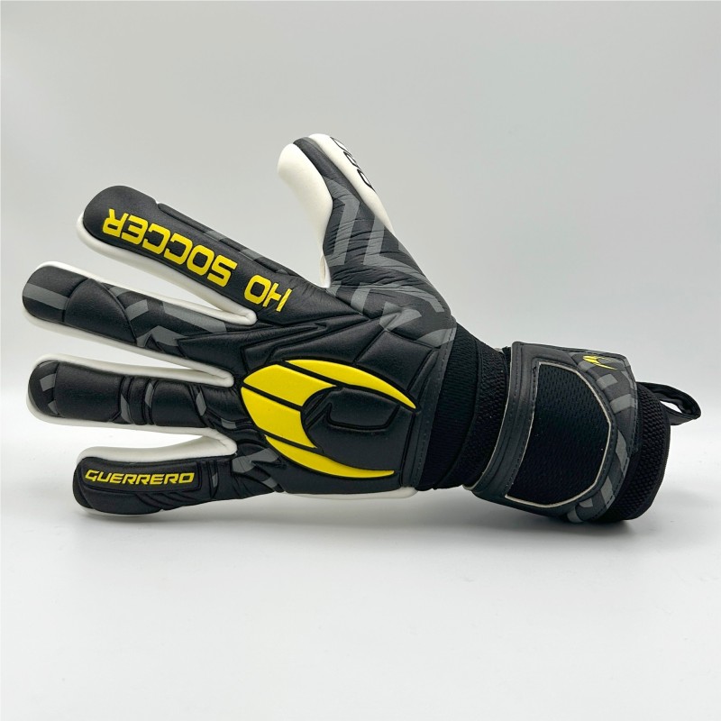 Guerrero Pro NG San Miguel V2