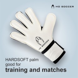 Trainer Pursuit FL Wit